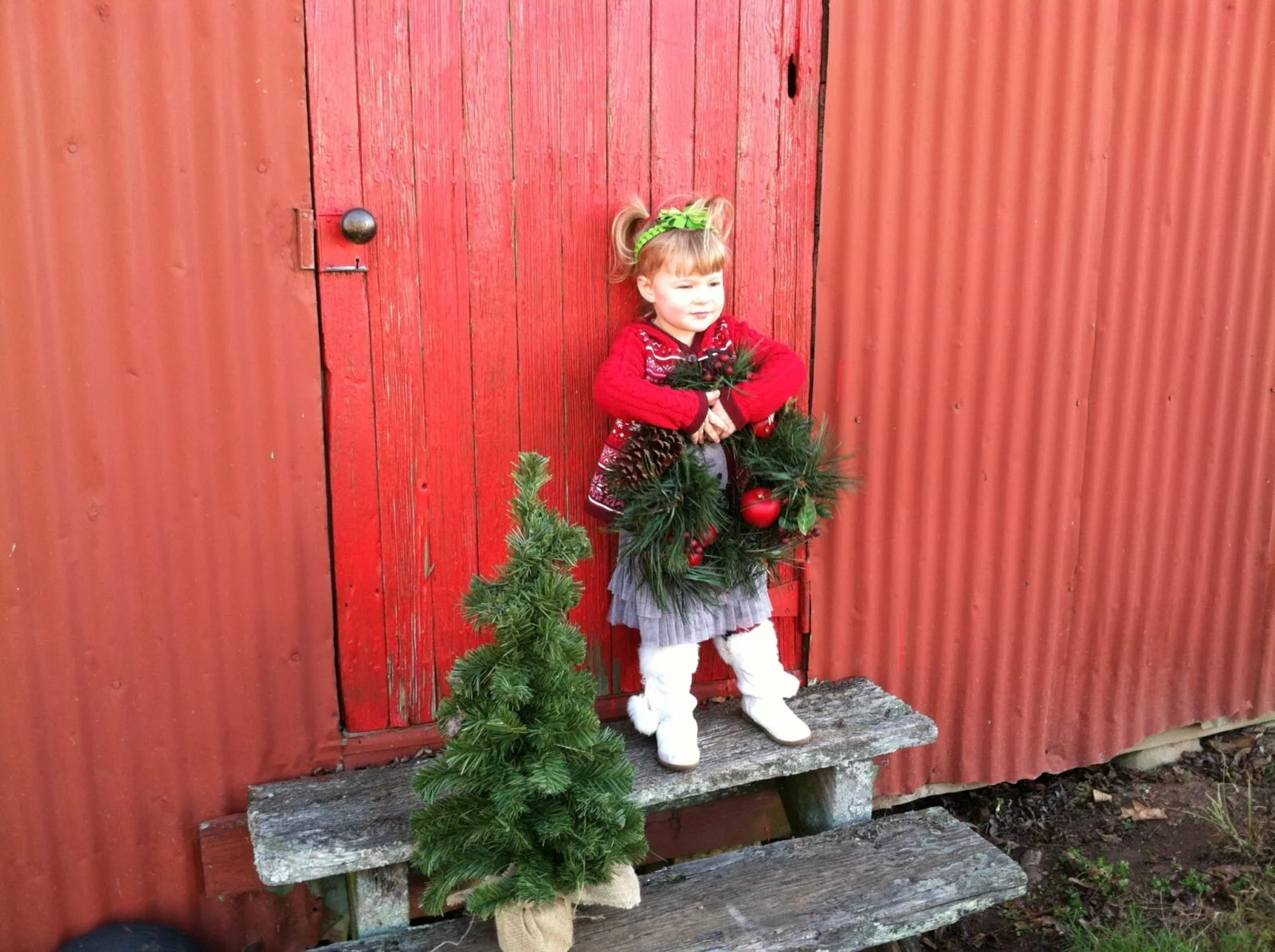 Toddler holding a wreath next to a small Christmas tree by a red barn door