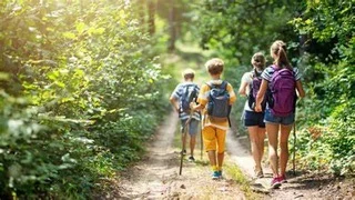 Family hiking on a forest trail