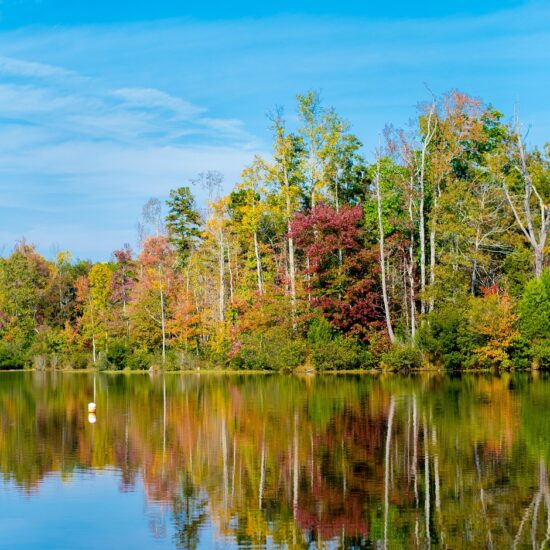Find a nanny in Charlotte North Carolina — mother interviewing a caregiver