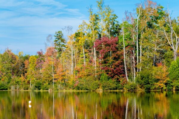 Find a nanny in Charlotte North Carolina — mother interviewing a caregiver