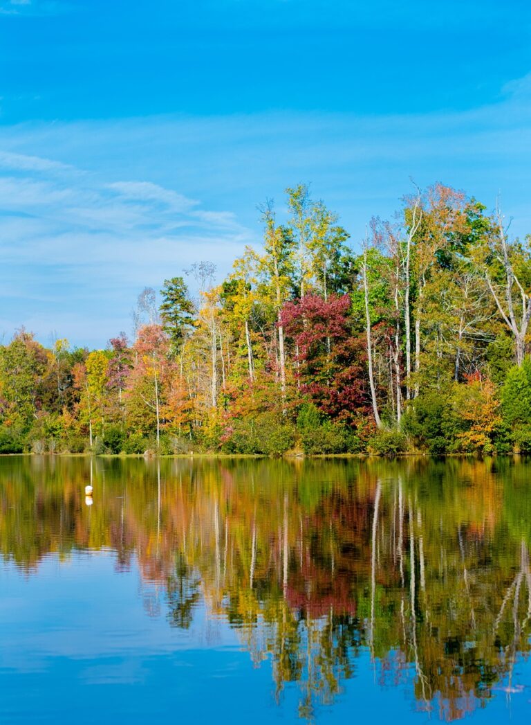 Lake Norman near Charlotte, NC for professional nanny placement.