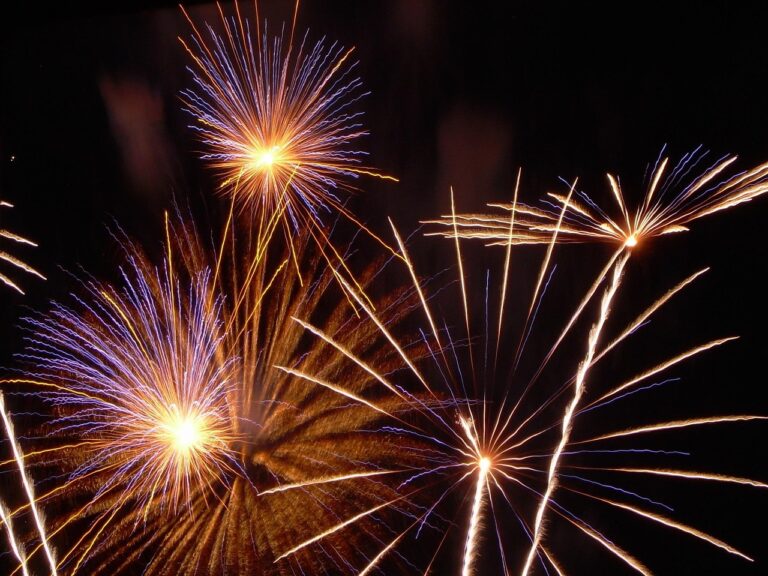 Fireworks celebrating the New Year as families plan for the year ahead