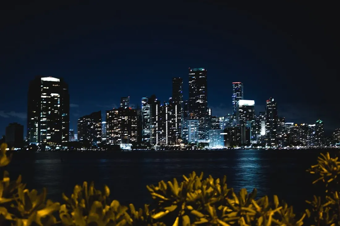 Miami Florida Skyline - Dream Nannies Luxury Nanny Agency Miami